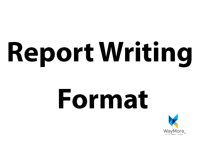 report writing for dummies